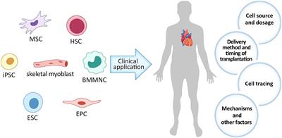 The Current Dilemma and Breakthrough of Stem Cell Therapy in Ischemic Heart Disease